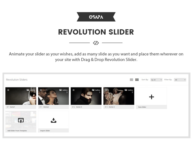 des_07_revolution_slider