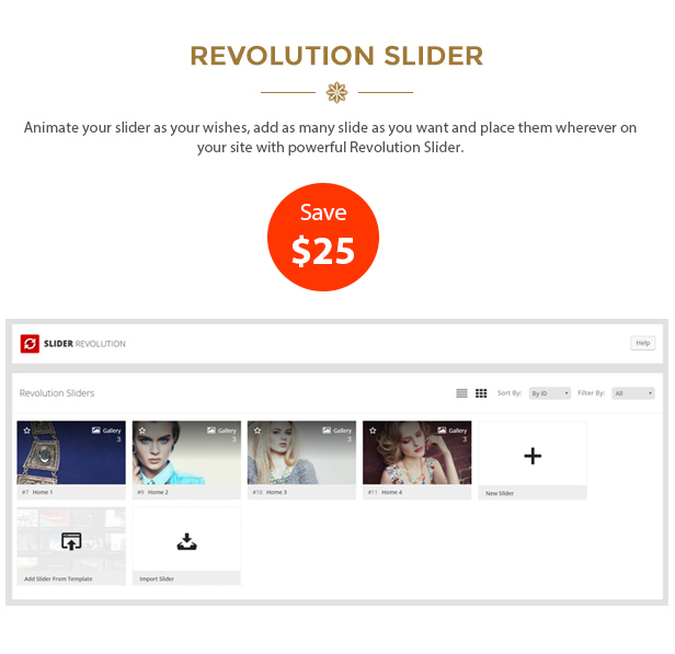 des_07_revolution_slider