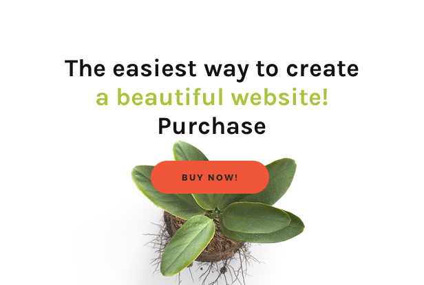 Laden Sie Festy WordPress Layout herunter 