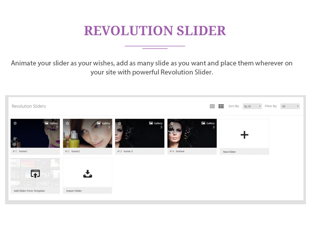 des_07_revolution_slider
