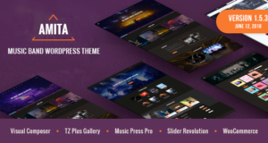 AMITA – Musikband WordPress Template