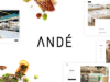 Andé - Ein modernes und elegantes Restaurant WordPress Layout
