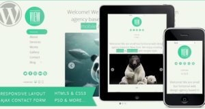 Ansicht – 2 in 1 WordPress Responsive Themen