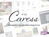 Caress - Ein umfassendes WordPress Blog Vorlage