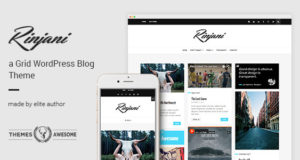 Ein Responsive Grid Blog Layout - Rinjani