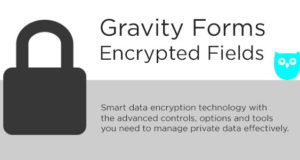 Gravity Forms verschlüsselte Felder