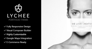 Litschi – Clean Multi-Purpose-Portfolio-Thema