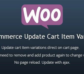 WooCommerce Update Warenkorb Artikel Variationen