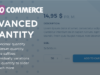 WooCommerce erweiterte Menge