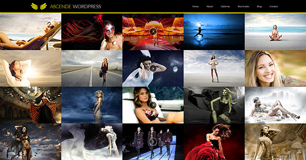 Ascende WordPress Responsive Foto- und Videogalerie