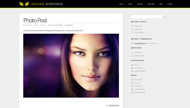 Ascende WordPress Responsive Foto- und Videogalerie