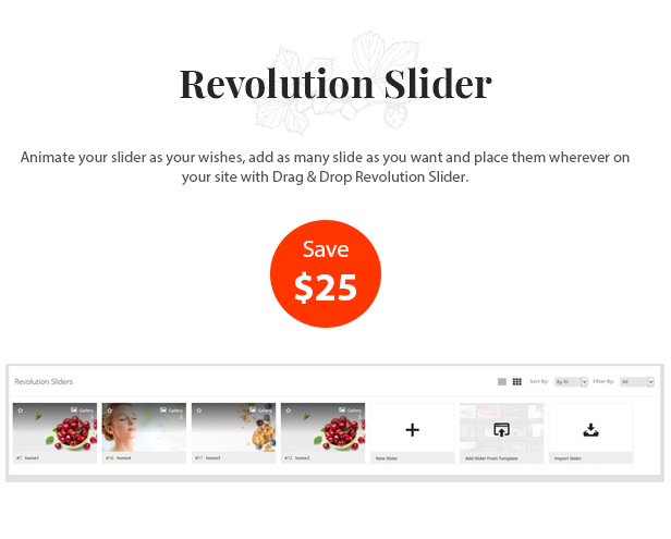 des_07_revolution_slider