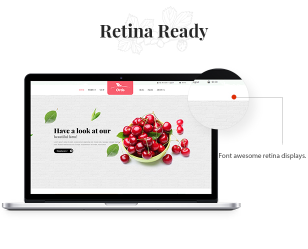 des_19_retina_ready