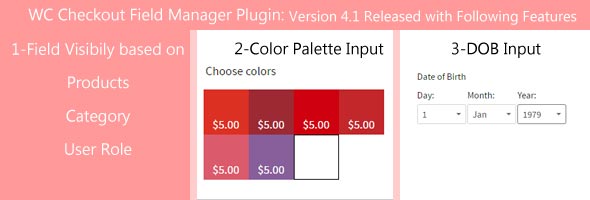 WooCommerce Checkout Editor Version 4.1