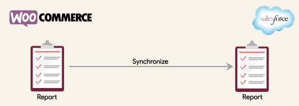Woocommerce Salesforce-Plugin
