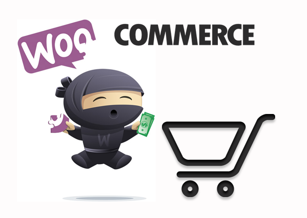 Paco - Responsives WooCommerce WordPress Template - Integration von Woocommerce