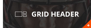 WebInvader - Liberty News WP