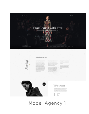 Nexttop Model WordPress Layout 