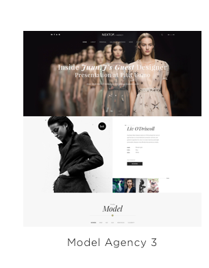 Nexttop Model WordPress Layout 