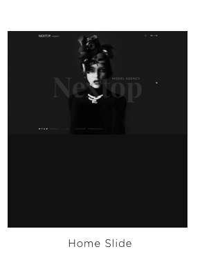 Nexttop Model WordPress Layout 