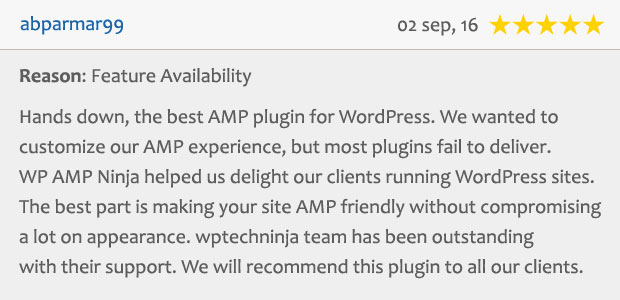 WP AMP Ninja - Beschleunigte mobile Seiten für WordPress