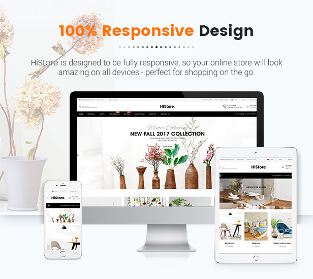 SW HiStore - WooCommerce Vorlage