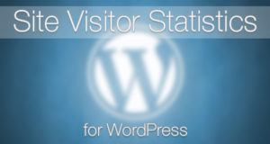 Besucherstatistiken für WordPress
