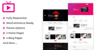 MaxVid – Video-Agentur-WordPress-Layout