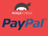 PayPal-Standard-Zahlungsportal für Ninja-Formulare