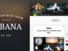 Sabana - Sauberes und elegantes WordPress-Blogdesign