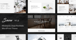 Schnee | Minimales und sauberes WordPress-Portfolio-Design