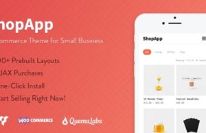 ShopApp – WordPress-Vorlage für kleine Unternehmen