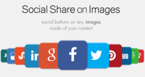 Social Share on Images AddOn – WordPress