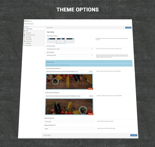 ThemeOption