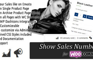 WooCommerce-Verkaufszahlen (SSN) anzeigen