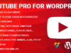 Youtube Pro für WordPress
