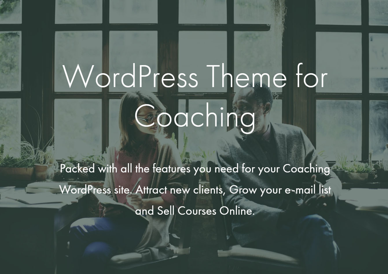 Coaching-Thema von pixelwars - für WordPress Coaching-Thema für Trainer