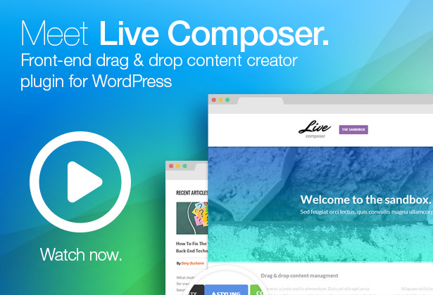 Liwo WordPress Vorlage