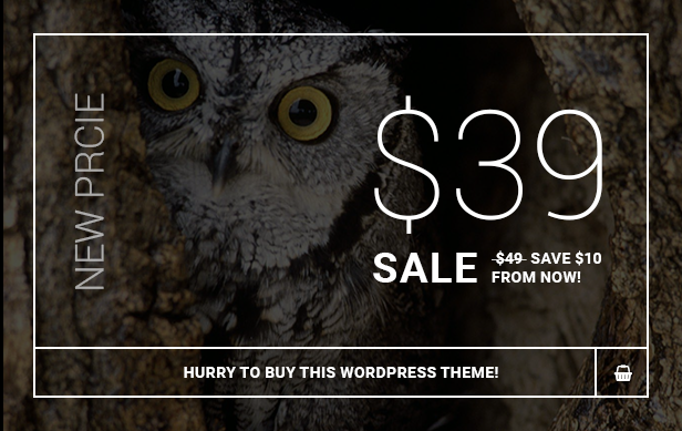OWL - WordPress-Vorlage
