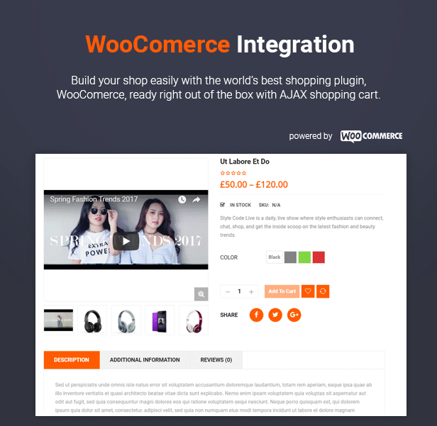SW alishop - WooCommerce Vorlage