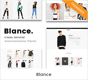 Sauberes, minimales WooCommerce-WordPress-Layout