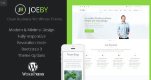 JoeBy Clean Business WordPress-Template