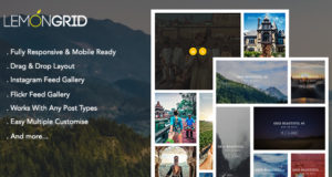 Lemon Grid – Responsive und Add-On-Add-On für Drag & Drop