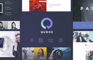 Qudos – Mehrzweckelement oder WordPress-Template