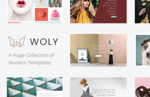 Woly – Multipurpose Layout mit einer riesigen Sammlung moderner Layouts für alle Ihre Bedürfnisse
