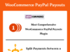 WooCommerce PayPal-Auszahlungen