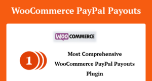 WooCommerce PayPal-Auszahlungen