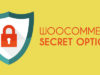 WooCommerce geheime Optionen