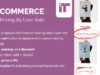 Woocommerce Dynamic Pricing nach Nutzerrolle