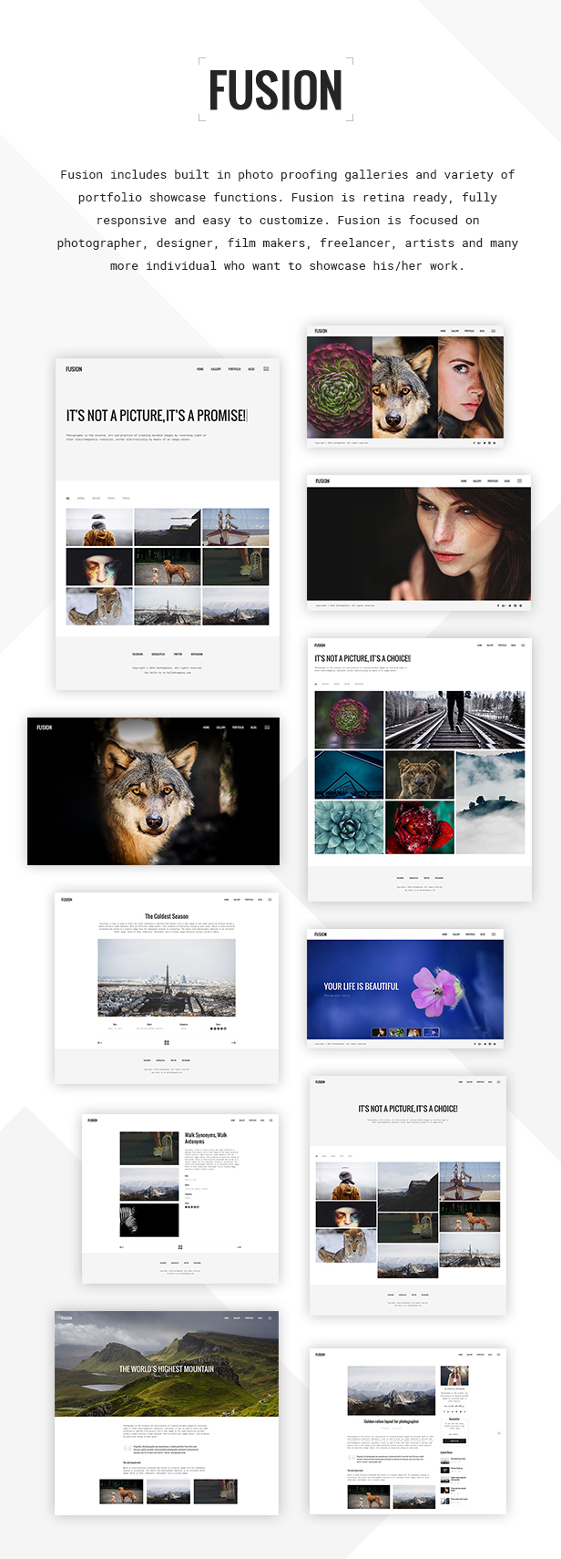 WordPress-Template für Fusion - Responsive Photography & Portfolio